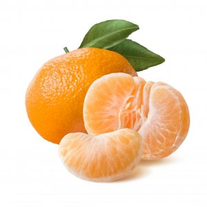 Clementina y Mandarina